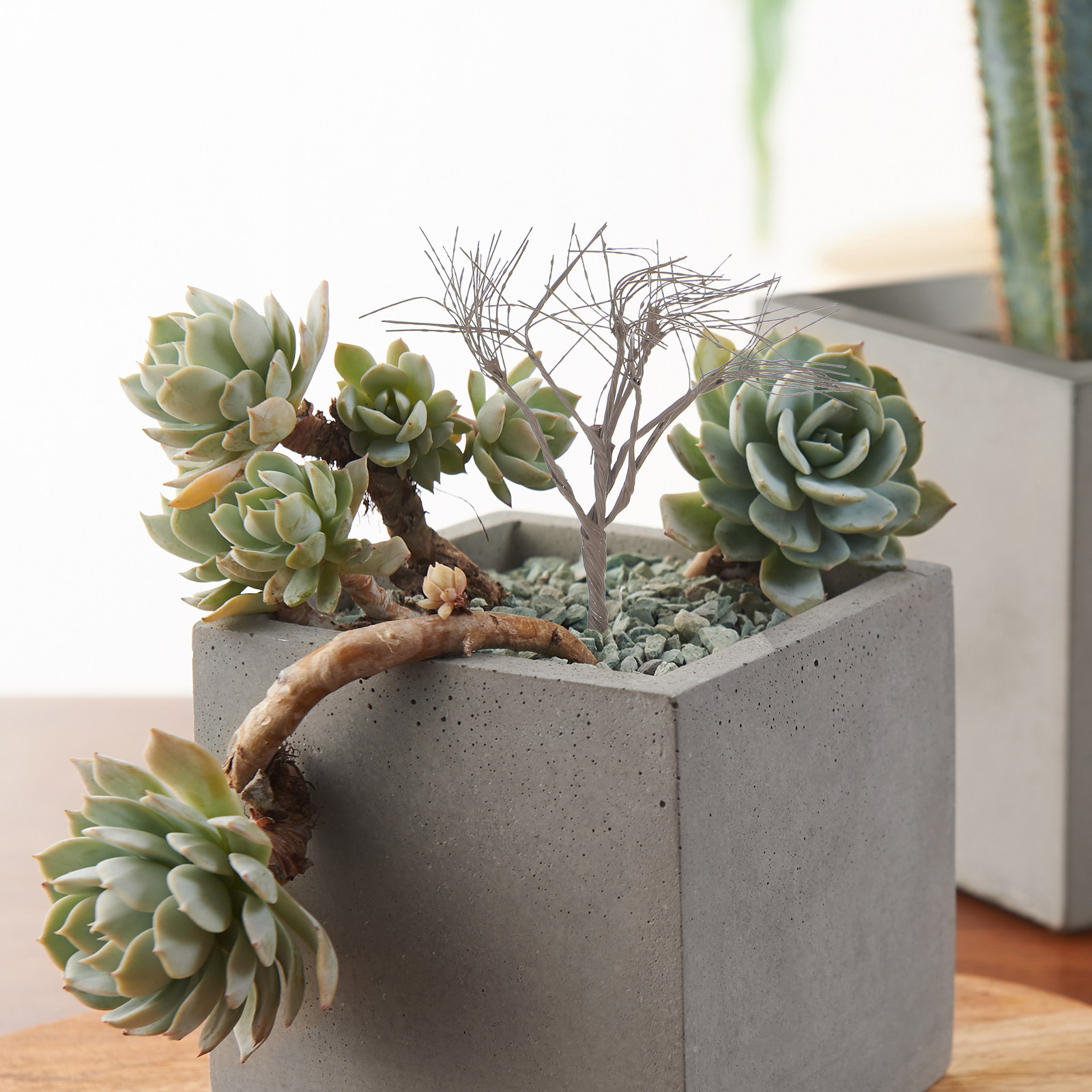 10 pcs Mini Miniature Landscap - Christmas Tree Artificial 评论和价格